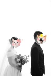 -CD视觉婚纱摄影
