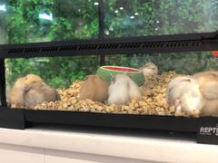 -狗道宠物(常熟印象城店)