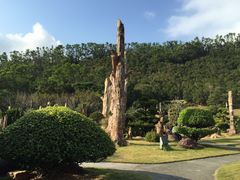 -深圳仙湖植物园-停车场