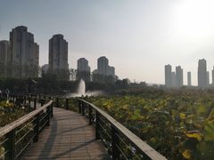 -前关湿地公园