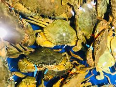 -三亚火车头万人海鲜广场