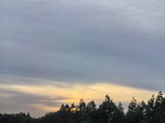 -上海国际音乐村