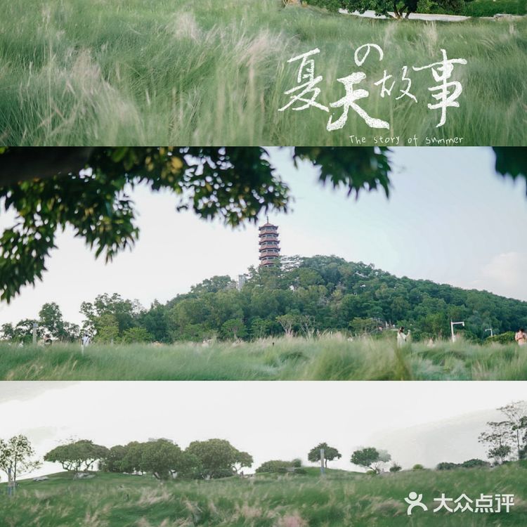 【深圳】初秋出游,千万不要错过红花山的超美粉黛