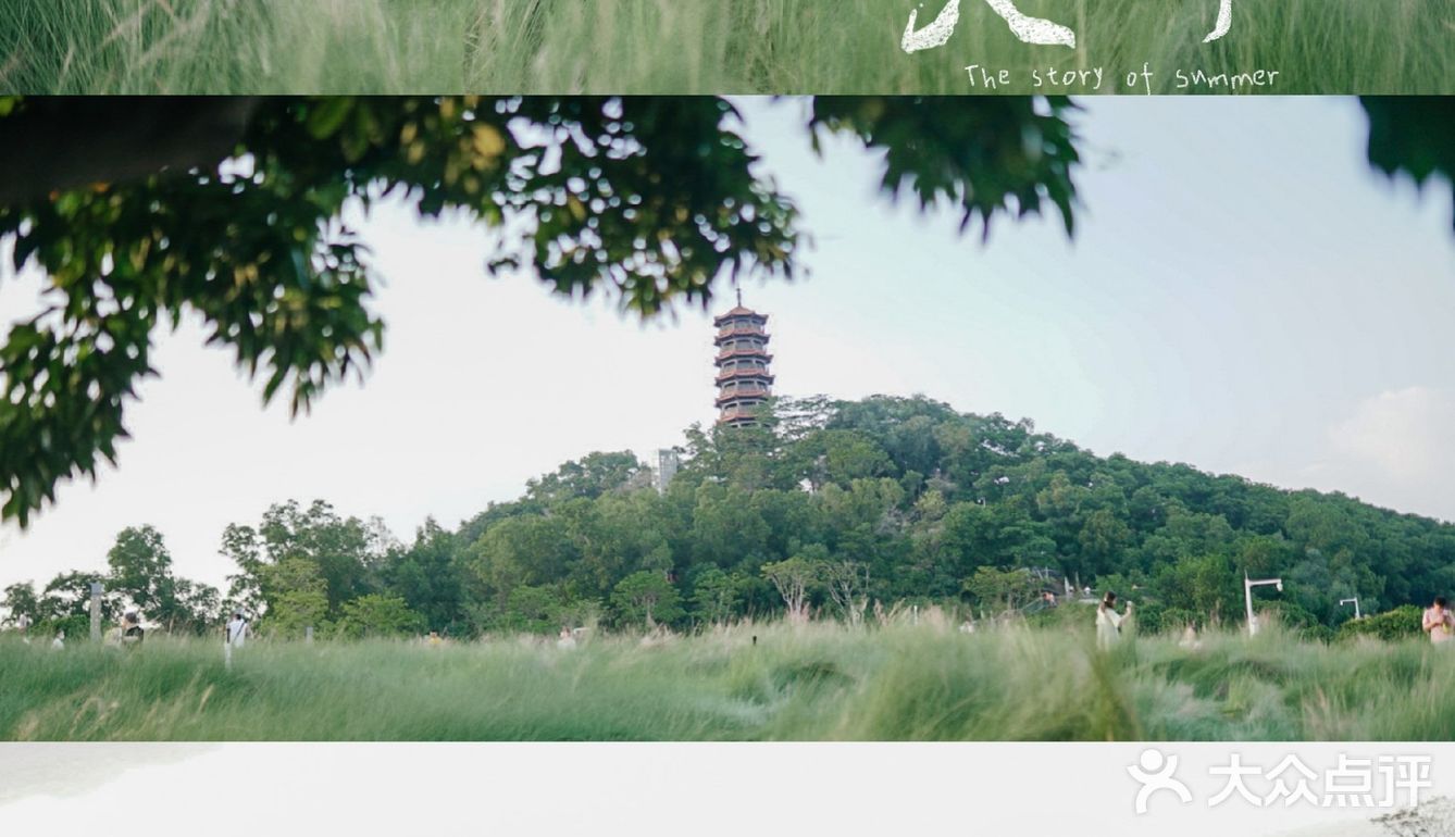 【深圳】初秋出游，千万不要错过红花山的超美粉黛