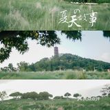 【深圳】初秋出游，千万不要错过红花山的超美粉黛