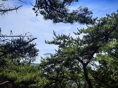 -崂山仰口游览区