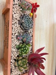 -中法母婴月子中心(南湖创始店)