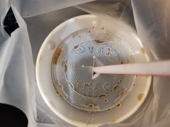 -华莱士炸鸡汉堡(崇文门搜秀城店)