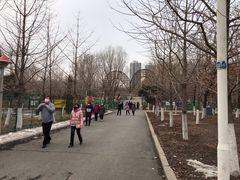 -长白岛森林公园