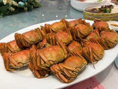 -新兴家喻酒家·羊城名宴(昌岗店)