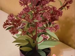 -三忘湖 SWANSEEN(柳荫公园店)