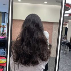 -IP SALON