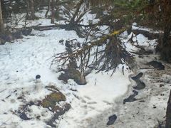 -海螺沟风景区