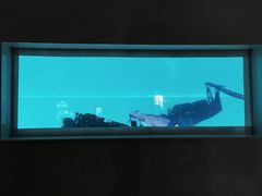 -上海潜殿潜水中心