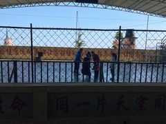 -东方熊牧场