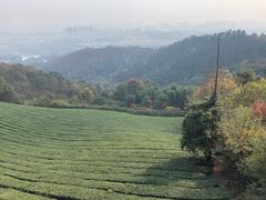 -敬亭山风景名胜区