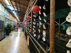 -崖口红树林海鲜餐厅