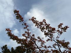 -宝界山林公园
