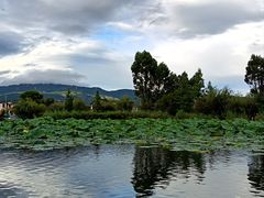 -大理洱源西湖景区
