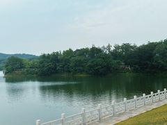 -佛手湖郊野公园