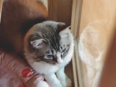 -白兔子密室(长寿路店)