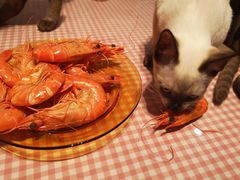 -南沙十九涌渔人码头-南门