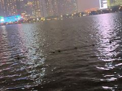 -天鹅湖体育公园