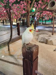 -酷嗒动物文化乐园(cutezoo西溪乐天城店)