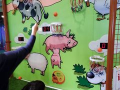 -中国宋庆龄青少年科技文化交流中心