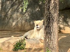 -北京野生动物园