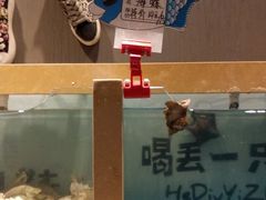 -喝丢一只鞋辣炒海鲜小烧烤(三八广场店)