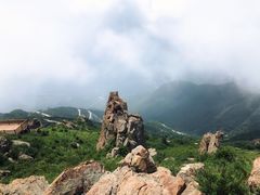 -白草畔自然风景区