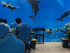 -小海豚•老字号海鲜餐厅(天涯店)