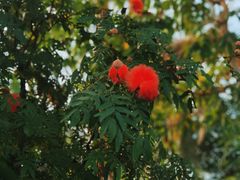-北京植物园-展览温室