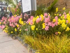 -蟠龙天地-P2停车场