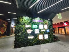 -真北路(地铁站)