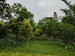 -金海湾滨江公园