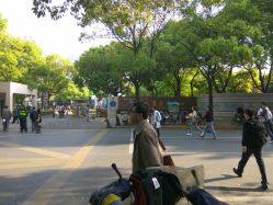 -上海交通大学医学院附属上海儿童医学中心(陆家嘴总院区)