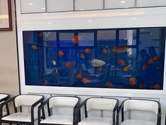 -深圳麦芽口腔医院(罗湖总院)