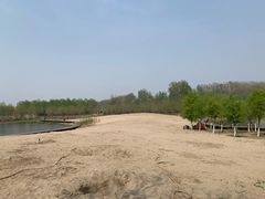 -东郊湿地公园