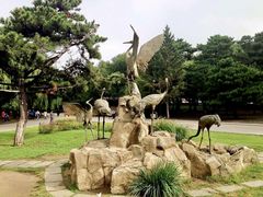 -长春市南湖公园