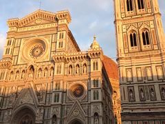 -圣母百花大教堂穹顶