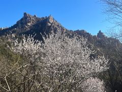 -北京凤凰岭