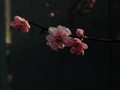 -静安雕塑公园