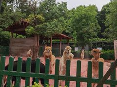 -无锡动物园·太湖欢乐园
