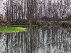 -桤木河湿地公园