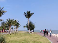 -野狸岛