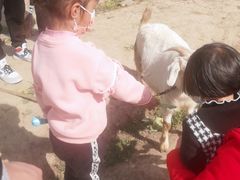 -小鱼草莓采摘园农家乐·小鱼餐厅