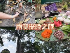 -西双版纳基诺山寨