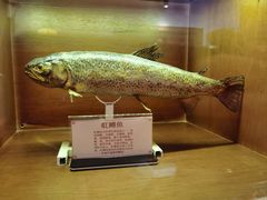 -福成厚江鱼壹号黑金冠好店(群力店)